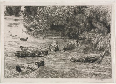 The Question Mark by Felix Bracquemond