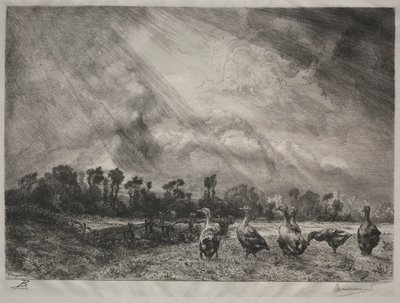 The Storm Cloud, 1878-1887 by Felix Bracquemond