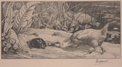 The Unknown by Felix Bracquemond