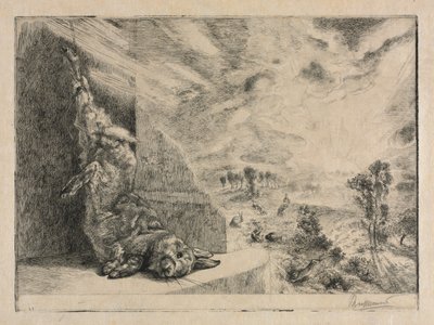 The Wild Rabbit, 1891 by Felix Bracquemond