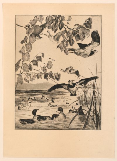 Lapwings and Teal by Felix Bracquemond