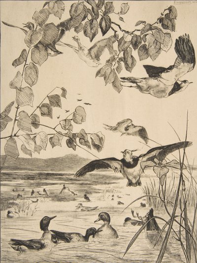 Lapwings and Teals by Felix Bracquemond