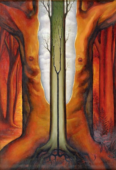 The Tree Man by Felix Del Marle