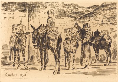Leaves of Donkeys from the South by Felix Hilaire Buhot