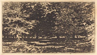 Forest by Felix Hilaire Buhot