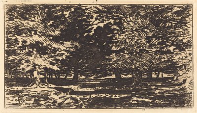Forest by Felix Hilaire Buhot