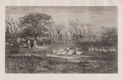 Geese by Felix Hilaire Buhot