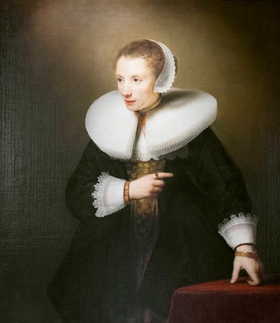Portrait of an Unknown Woman by Ferdinand Bol