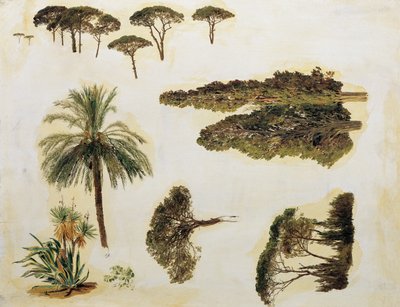 Tree Studies from Rome by Ferdinand Georg Waldmuller