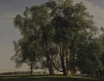 Prater Landscape by Ferdinand Georg Waldmuller