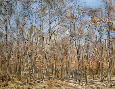 Beech forest by Ferdinand Hodler