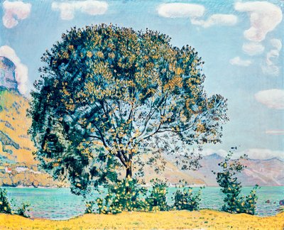 Unknown Image by Ferdinand Hodler