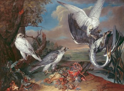 Greenland Gyr Falcons by Ferdinand Phillip de Hamilton