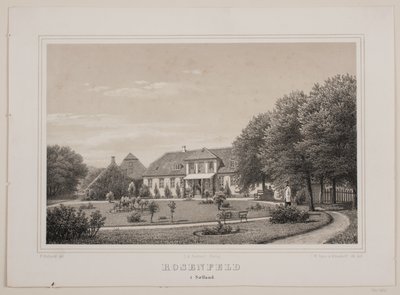 Rosenfeld in Zealand by Ferdinand Richardt