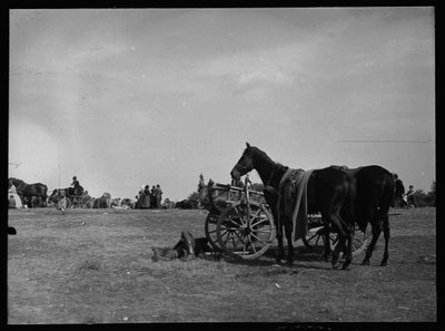 Horse Next to Cart in Semere by Ferdinand Schmutzer