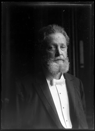 Portrait of Charles Lueger (1897-1910) by Ferdinand Schmutzer