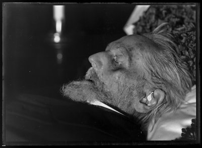 Rudolf of Antiquarian (1812-1905) on the Deathbed by Ferdinand Schmutzer