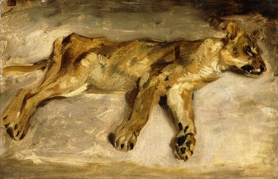A Sleeping Lioness by Ferdinand Victor Eugene Delacroix