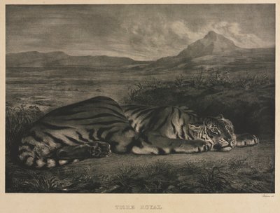 Royal Tiger by Ferdinand Victor Eugene Delacroix