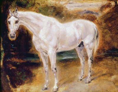 White Horse by Ferdinand Victor Eugene Delacroix