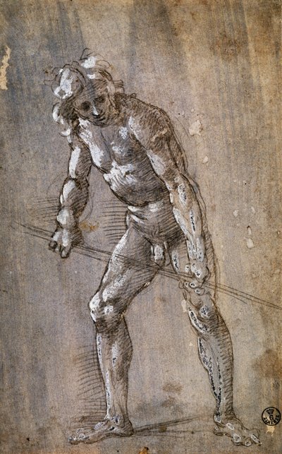 Male Figure by Filippino Lippi