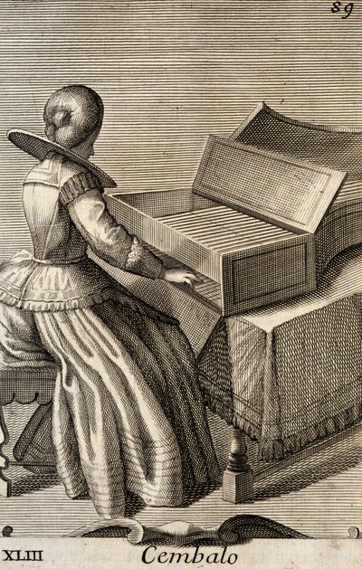Woman Playing the Harpsichord by Filippo Bonanni