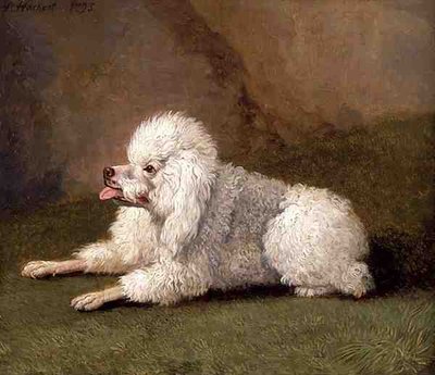 A Belgian Poodle by Filippo Hackert