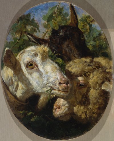 Heads of animals by Filippo Palizzi