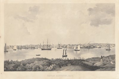 View of Gloucester, Mass. by Fitz Henry Lane