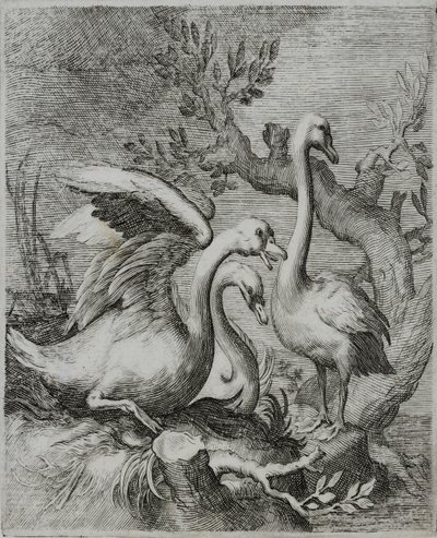 Old Master Engraving by Flemish School