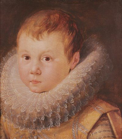 Portrait of a child by Flemish School
