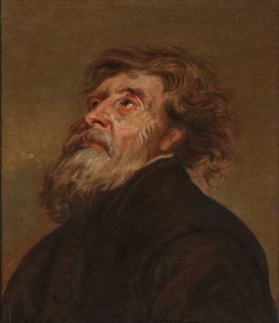 Study of a Man by Flemish School
