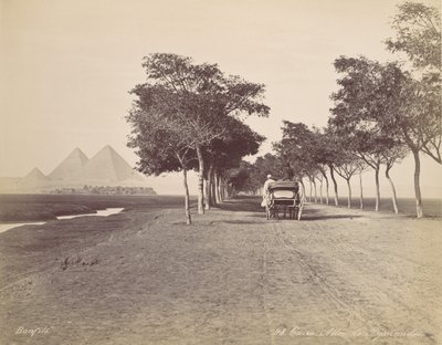 Caire. Allée de Pyramides by Félix Bonfils