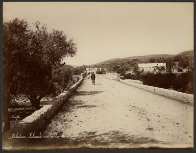 Palestine - Kolonick, Valley of the Terebinth by Félix Bonfils
