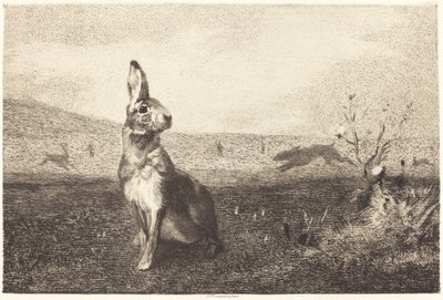 The Hare by Félix Bracquemond after Albert de Balleroy