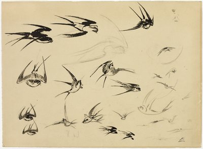 The Swallows by Félix Henri Bracquemond