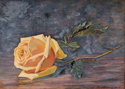 Yellow Rose, 1887 by Florence Westwood Whitfield