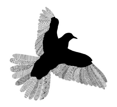 Bird Line Art by Florent Bodart
