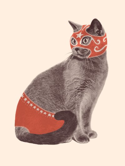 Cat Wrestler by Florent Bodart