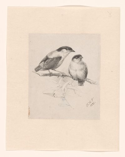 Two Tits on a Branch by Floris Verster