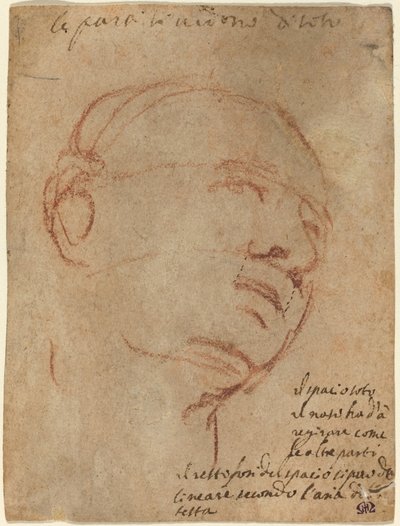 Head of a Man by Follower of Michelangelo