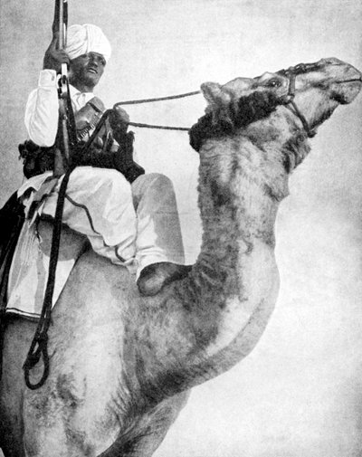 Desert Warrior of Africa by Fox Photos