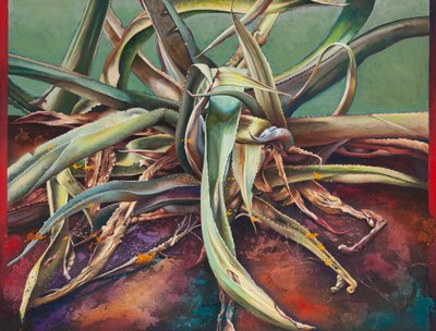 Century Plant by Frances Ferdinands