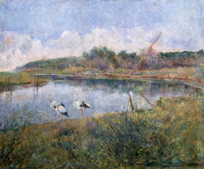 Massaciuccoli by Francesco Fanelli