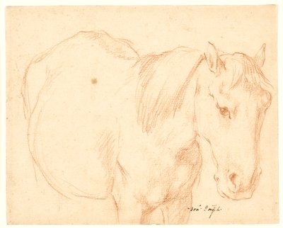 A Horse by Francesco Fernandi