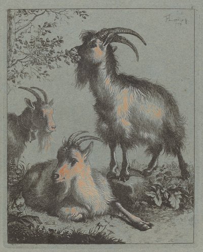 Three Goats, 1758 by Francesco Londonio