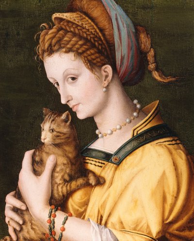 Lady With A Cat, c.1525-30 by Francesco Ubertini Bacchiacca