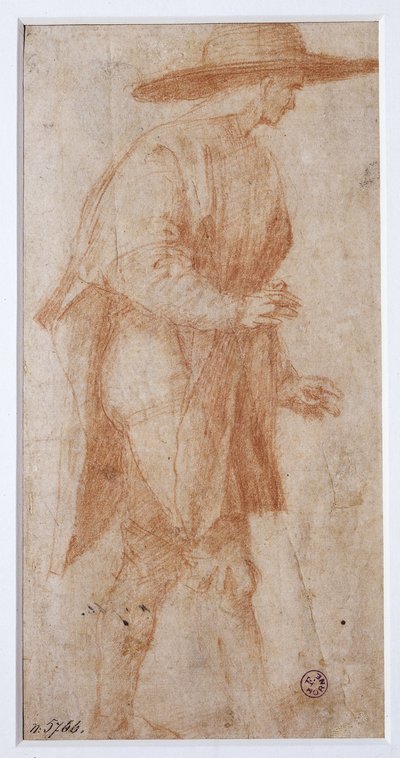 Unknown Image by Francesco Ubertini Bacchiacca