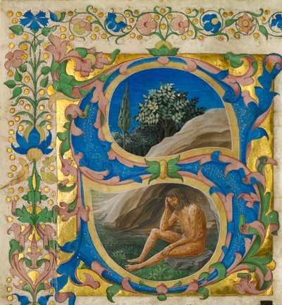 Initial S: Job by Francesco di Antonio del Chierico
