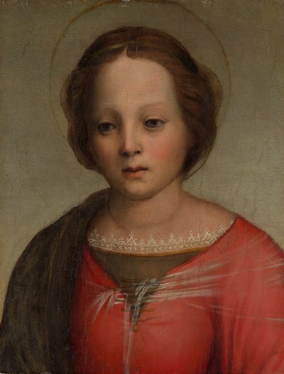 Head of the Madonna by Francesco di Cristofano Franciabigio
